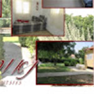 7609703 - תמונה