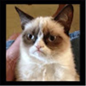 rivaz1972 - תמונה