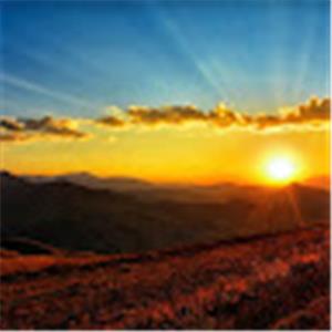 tmrpnyry - תמונה tmrpnyry - תמונה