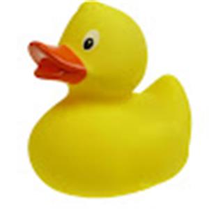 s0527112354 - תמונה