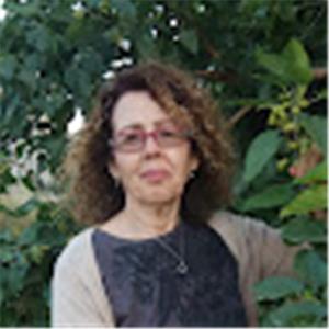 drorasn - תמונה