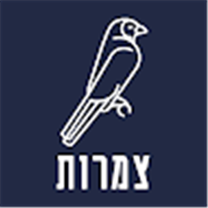 קבוצת - תמונה