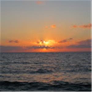 moriyas809 - תמונה moriyas809 - תמונה