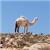 naor4242 - תמונה naor4242 - תמונה