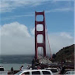 hestia.arie - תמונה