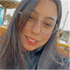 lironshalom04 - תמונה