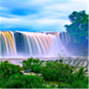 d0533165425 - תמונה