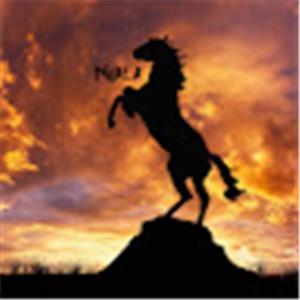 ariel844844 - תמונה ariel844844 - תמונה