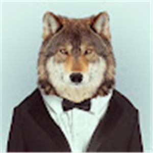 ig_line - תמונה ig_line - תמונה