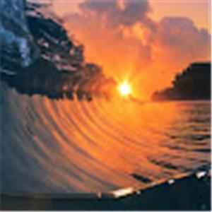 david177954 - תמונה