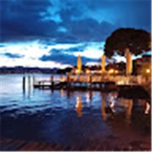 tz0556771421 - תמונה