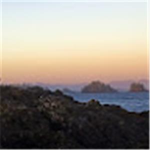 shoshany.adv - תמונה shoshany.adv - תמונה