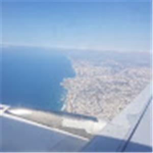 aviel - תמונה aviel - תמונה