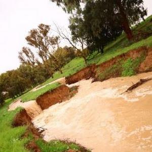 oriyossef99 - תמונה oriyossef99 - תמונה