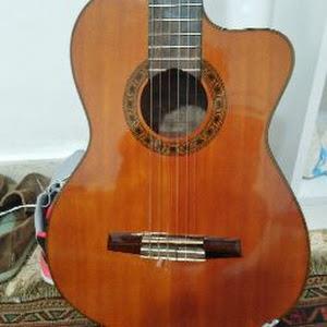 nirhayat2008 - תמונה nirhayat2008 - תמונה