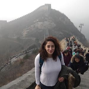 nardinefahoum30 - תמונה