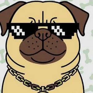 bylwpry37 - תמונה