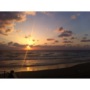 m.n.t8200 - תמונה