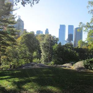 mk5710506 - תמונה