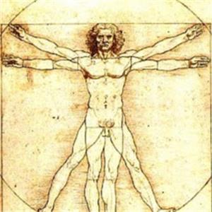 shba0321 - תמונה shba0321 - תמונה