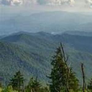 danielnovitzki850 - תמונה danielnovitzki850 - תמונה