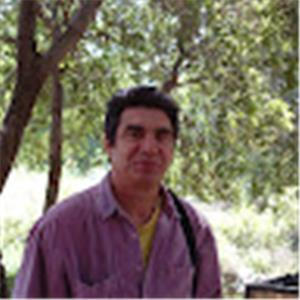 Eli - תמונה Eli - תמונה