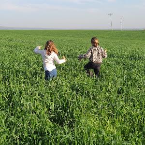 inbalbinyamin1 - תמונה inbalbinyamin1 - תמונה