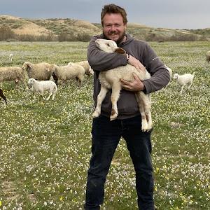 mashajeep - תמונה mashajeep - תמונה