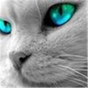 An - תמונה An - תמונה