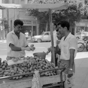 avrham12301 - תמונה