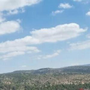 ab148149 - תמונה