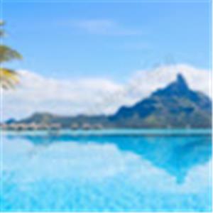 שרית - תמונה