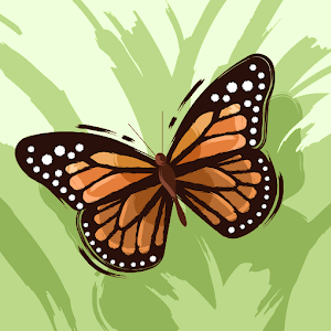 bnyswmy0 - תמונה