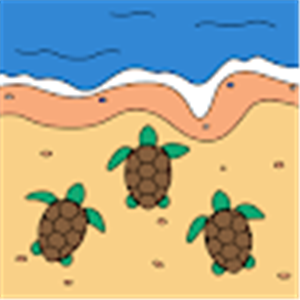 שירז - תמונה