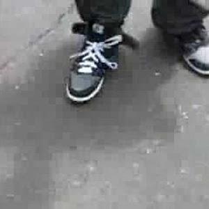 ytawil770 - תמונה