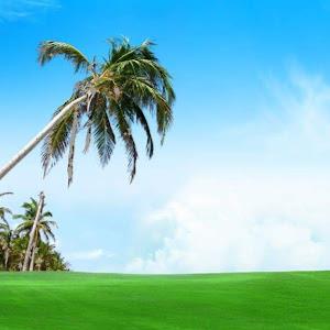 yehup6292 - תמונה yehup6292 - תמונה