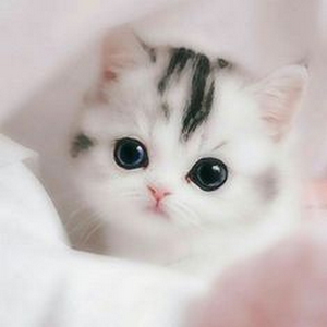 sarit67144 - תמונה