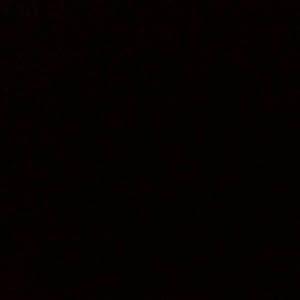 nizanixon - תמונה