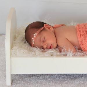 m3208897 - תמונה