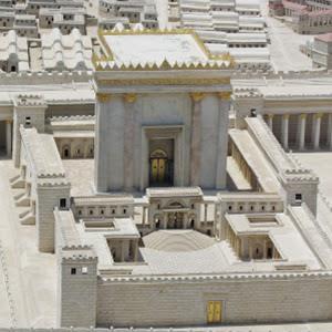 gluckyitzchok - תמונה