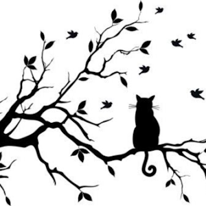 Ksenia - תמונה Ksenia - תמונה