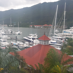 c0587696458 - תמונה