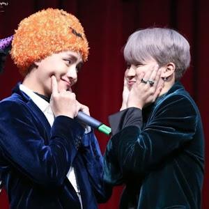 ofri31147 - תמונה