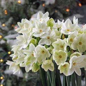 lioramordekhai95 - תמונה lioramordekhai95 - תמונה