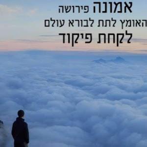 osnatzafar - תמונה osnatzafar - תמונה