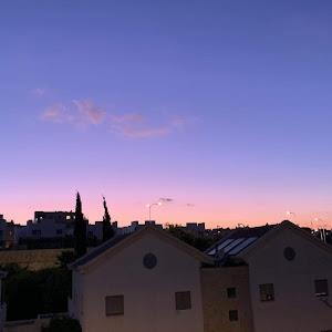 hodia8845 - תמונה