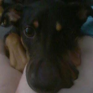 44yonatan - תמונה 44yonatan - תמונה