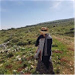 Hasia - תמונה Hasia - תמונה