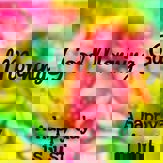 דודי - תמונה