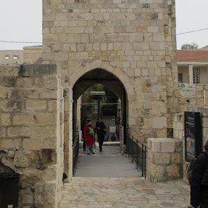 dimadima37 - תמונה dimadima37 - תמונה